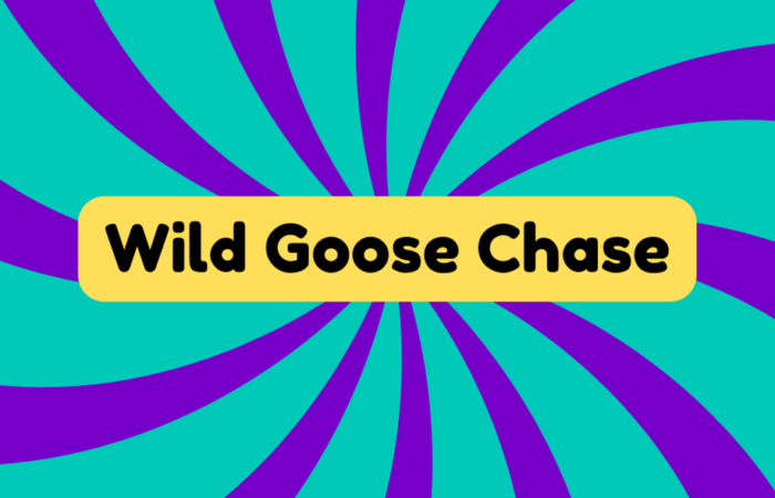 Wild Goose Chase