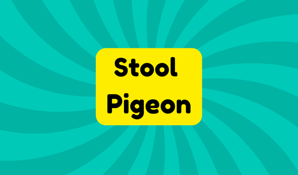 Stool Pigeon