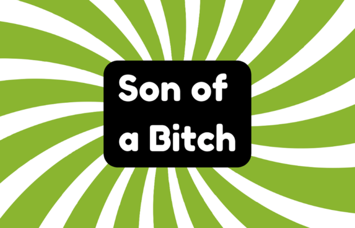 Son of a Bitch