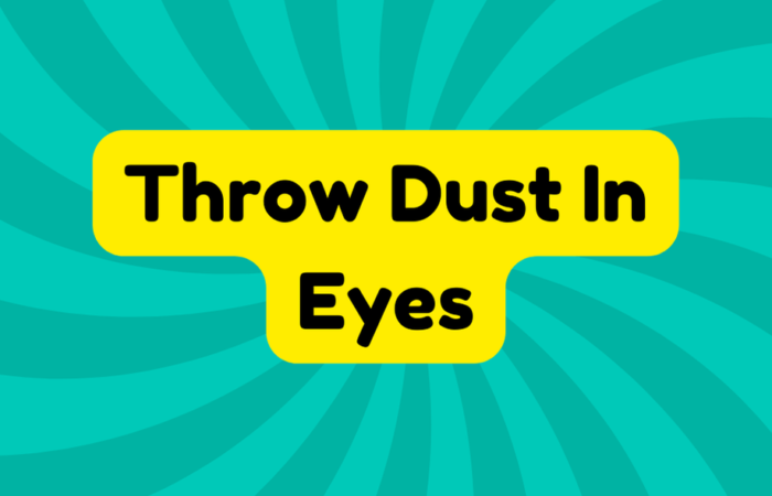 Throw Dust in Eyes