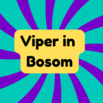 Viper in Bosom