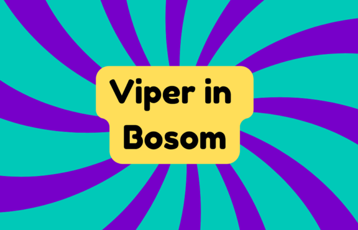 Viper in Bosom