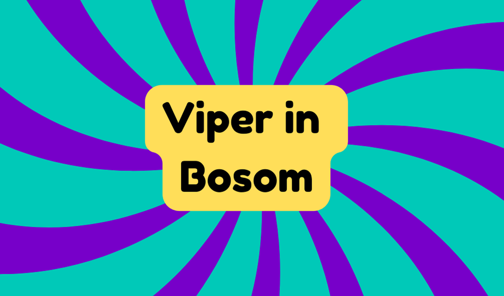 Viper in Bosom