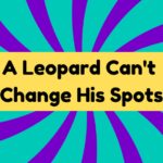 A Leopard Can't Change His Spots