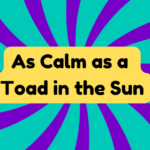 As Calm as a Toad in the Sun