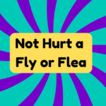 Not Hurt a Fly or Flea