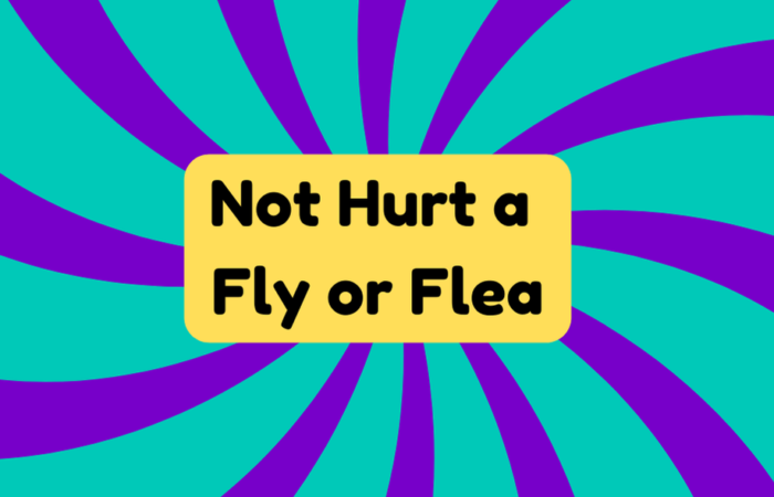 Not Hurt a Fly or Flea