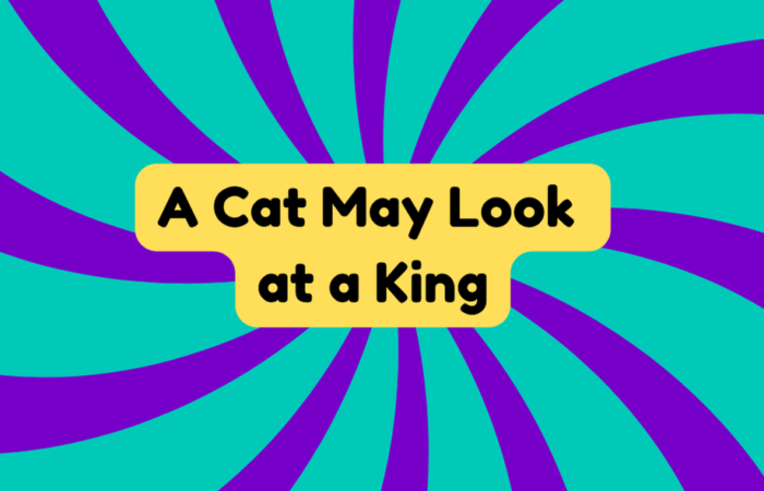 A Cat May Look at a King