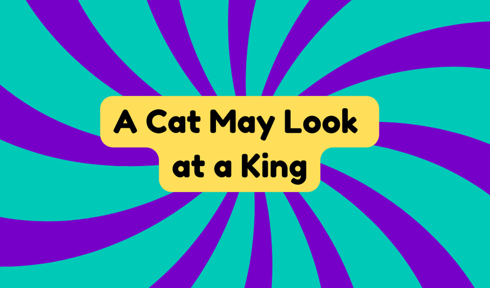 A Cat May Look at a King