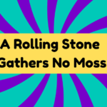 A Rolling Stone Gathers No Moss