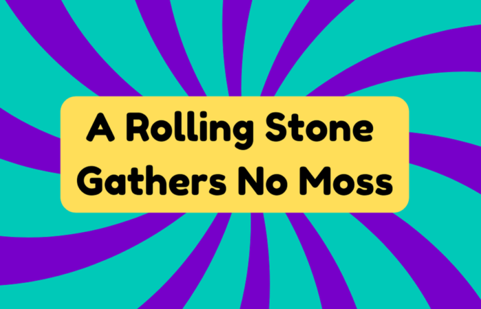 A Rolling Stone Gathers No Moss