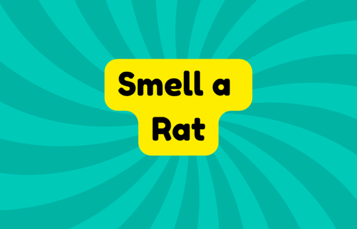 Smell a Rat