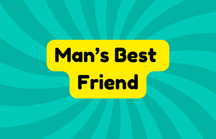 man's best friend