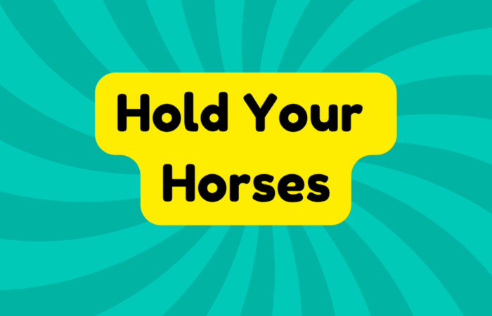 Hold Your Horses