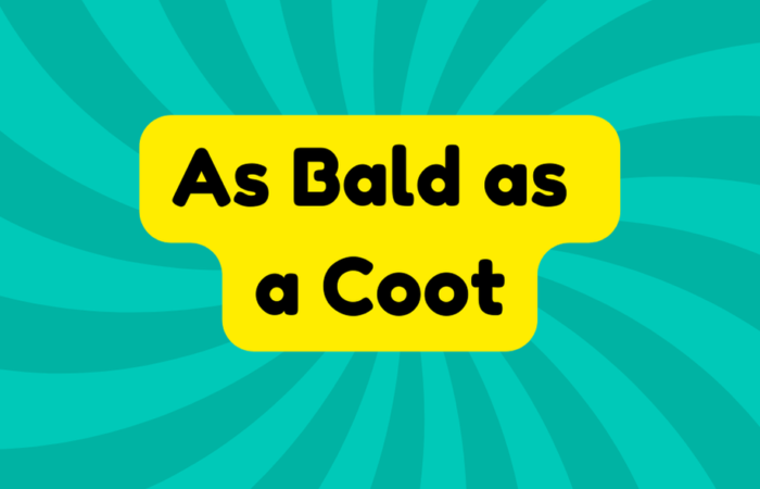 As Bald as a Coot