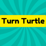 Turn Turtle 3 Turn Turtle