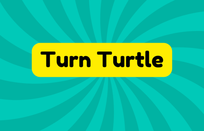 Turn Turtle