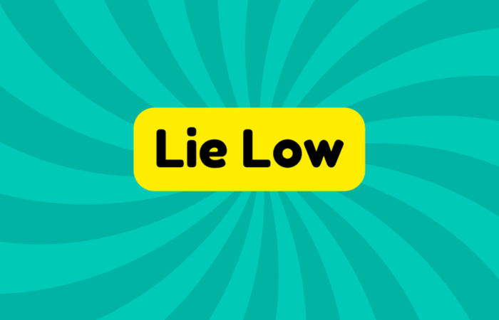 Lie Low
