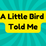 A Little Bird Told Me 3 A Little Bird Told Me
