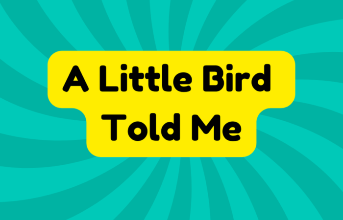 A Little Bird Told Me