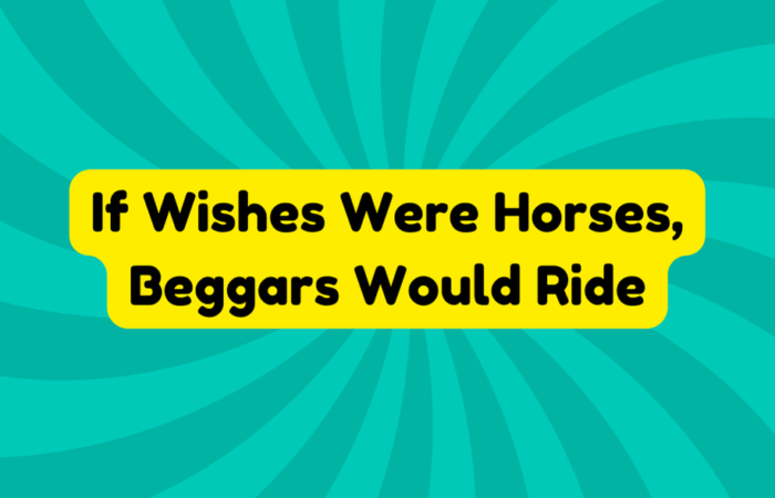 If Wishes Were Horses, Beggars Would Ride