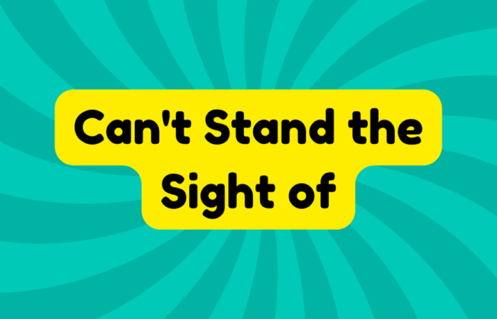 Can't Stand the Sight of