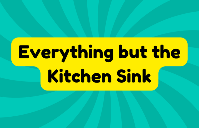 Everything but the Kitchen Sink