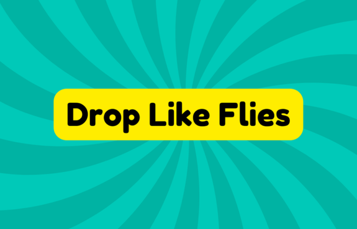 Drop Like Flies