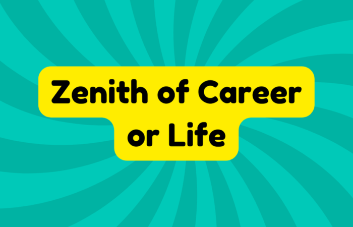 Zenith of Career