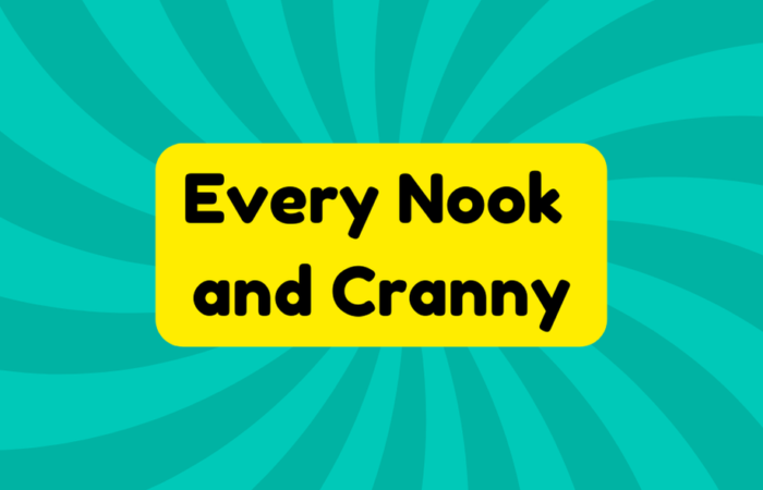 Every Nook and Cranny