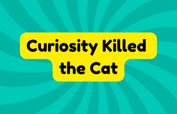 Curiosity Killed the Cat