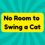 No Room to Swing a Cat 1 No Room to Swing a Cat