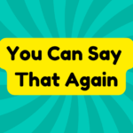 You Can Say That Again 2 You Can Say That Again
