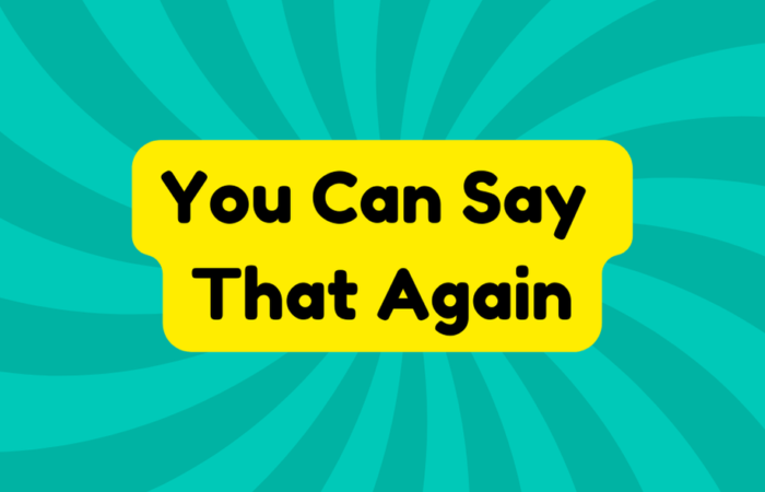 You Can Say That Again