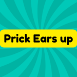 Prick Ears up 1 Prick Ears up