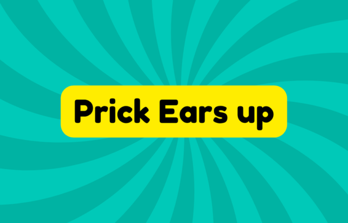 Prick Ears up
