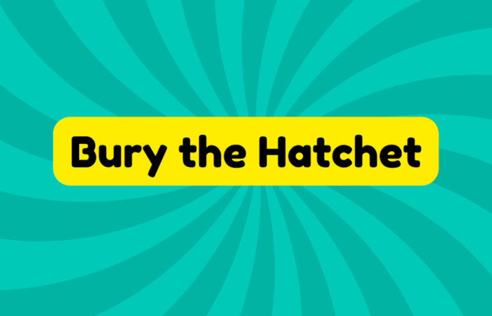 Bury the Hatchet