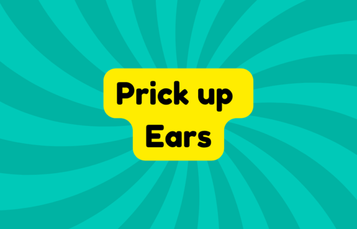 Prick up Ears