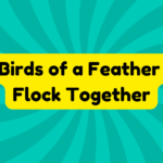 Birds of a Feather Flock Together 2 Birds of a Feather Flock Together
