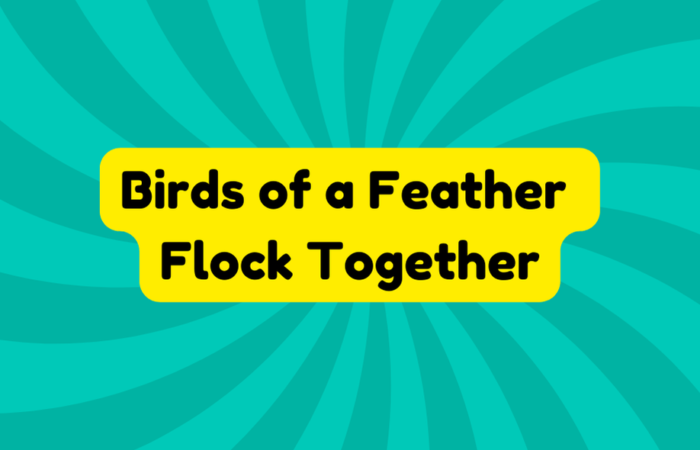 Birds of a Feather Flock Together