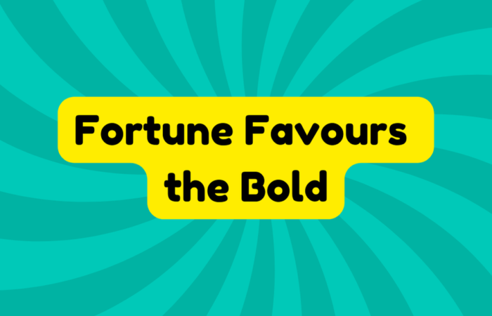 Fortune Favours the Bold