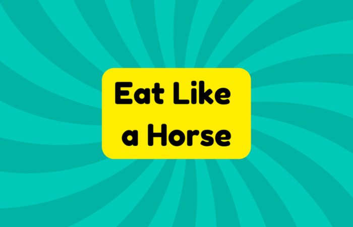 Eat Like a Horse