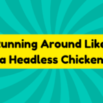 Running Around Like a Headless Chicken 4 Running Around Like a Headless Chicken