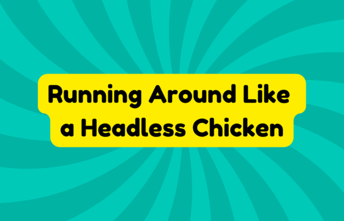 Running Around Like a Headless Chicken