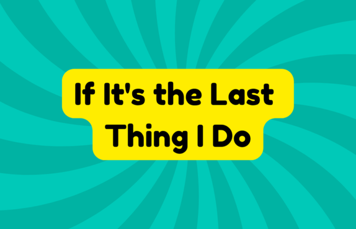 If It's the Last Thing I Do