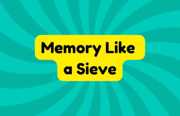Memory Like a Sieve