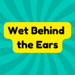 Wet Behind the Ears 4 Wet Behind the Ears