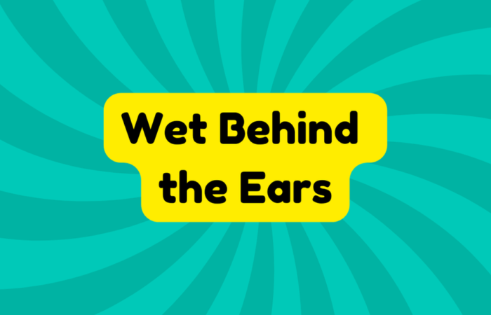 Wet Behind the Ears