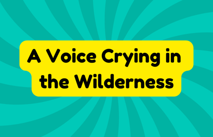 A Voice Crying in the Wilderness