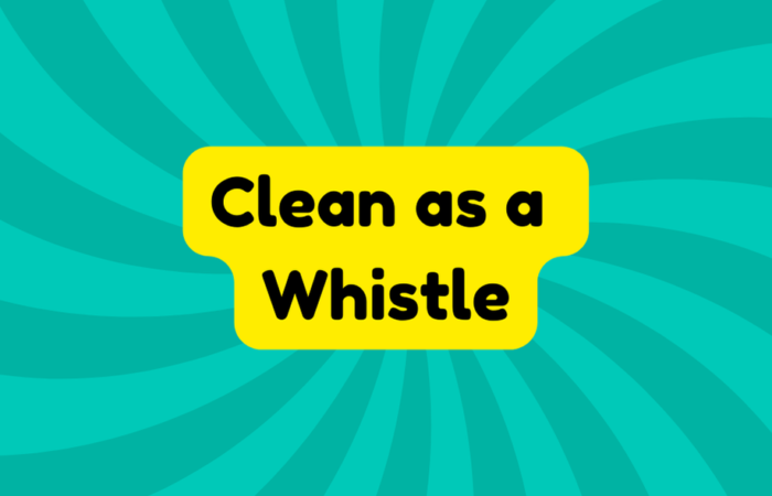 Clean as a Whistle